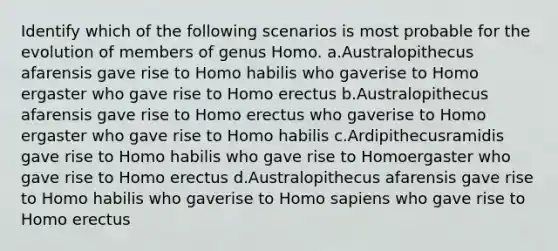 Identify which of the following scenarios is most probable for the evolution of members of genus Homo. a.Australopithecus afarensis gave rise to Homo habilis who gaverise to Homo ergaster who gave rise to Homo erectus b.Australopithecus afarensis gave rise to Homo erectus who gaverise to Homo ergaster who gave rise to Homo habilis c.Ardipithecusramidis gave rise to Homo habilis who gave rise to Homoergaster who gave rise to Homo erectus d.Australopithecus afarensis gave rise to Homo habilis who gaverise to Homo sapiens who gave rise to Homo erectus