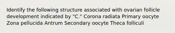 Identify the following structure associated with ovarian follicle development indicated by "C." Corona radiata Primary oocyte Zona pellucida Antrum Secondary oocyte Theca folliculi