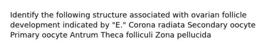 Identify the following structure associated with ovarian follicle development indicated by "E." Corona radiata Secondary oocyte Primary oocyte Antrum Theca folliculi Zona pellucida