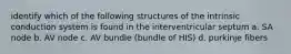 identify which of the following structures of the intrinsic conduction system is found in the interventricular septum a. SA node b. AV node c. AV bundle (bundle of HIS) d. purkinje fibers