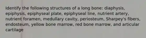 Identify the following structures of a long bone: diaphysis, epiphysis, epiphyseal plate, epiphyseal line, nutrient artery, nutrient foramen, medullary cavity, periosteum, Sharpey's fibers, endosteum, yellow bone marrow, red bone marrow, and articular cartilage