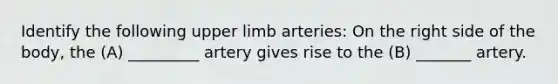 Identify the following upper limb arteries: On the right side of the body, the (A) _________ artery gives rise to the (B) _______ artery.