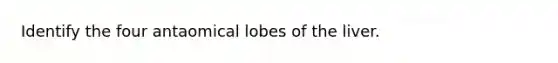 Identify the four antaomical lobes of the liver.