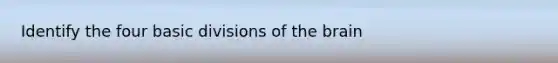 Identify the four basic divisions of the brain