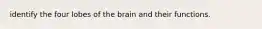 identify the four lobes of the brain and their functions.