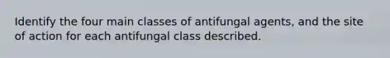 Identify the four main classes of antifungal agents, and the site of action for each antifungal class described.