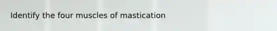 Identify the four muscles of mastication