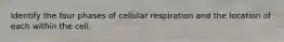 Identify the four phases of cellular respiration and the location of each within the cell.