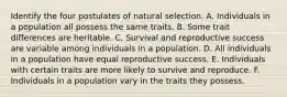 Identify the four postulates of natural selection. A. Individuals in a population all possess the same traits. B. Some trait differences are heritable. C. Survival and reproductive success are variable among individuals in a population. D. All individuals in a population have equal reproductive success. E. Individuals with certain traits are more likely to survive and reproduce. F. Individuals in a population vary in the traits they possess.