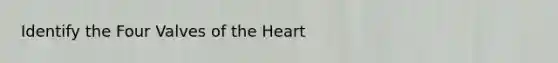 Identify the Four Valves of the Heart