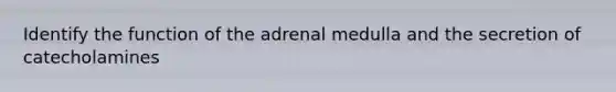 Identify the function of the adrenal medulla and the secretion of catecholamines