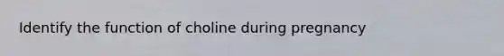 Identify the function of choline during pregnancy