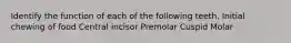 Identify the function of each of the following teeth. Initial chewing of food Central incisor Premolar Cuspid Molar