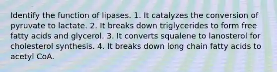 Identify the function of lipases. 1. It catalyzes the conversion of pyruvate to lactate. 2. It breaks down triglycerides to form free fatty acids and glycerol. 3. It converts squalene to lanosterol for cholesterol synthesis. 4. It breaks down long chain fatty acids to acetyl CoA.