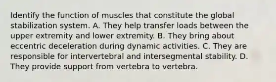 Identify the function of muscles that constitute the global stabilization system. A. They help transfer loads between the upper extremity and lower extremity. B. They bring about eccentric deceleration during dynamic activities. C. They are responsible for intervertebral and intersegmental stability. D. They provide support from vertebra to vertebra.