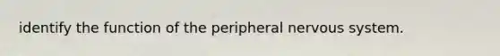 identify the function of the peripheral nervous system.