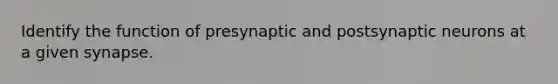 Identify the function of presynaptic and postsynaptic neurons at a given synapse.