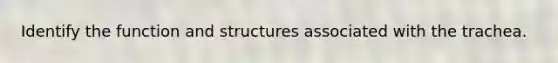 Identify the function and structures associated with the trachea.