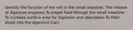 Identify the function of the villi in the small intestine. The release of digestive enzymes To propel food through the small intestine To increase surface area for digestion and absorption To filter blood into the digestive tract