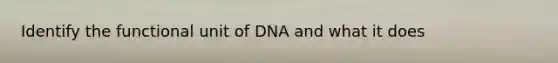 Identify the functional unit of DNA and what it does