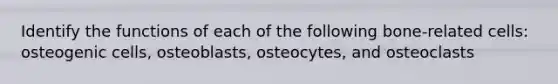 Identify the functions of each of the following bone-related cells: osteogenic cells, osteoblasts, osteocytes, and osteoclasts