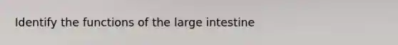 Identify the functions of the <a href='https://www.questionai.com/knowledge/kGQjby07OK-large-intestine' class='anchor-knowledge'>large intestine</a>