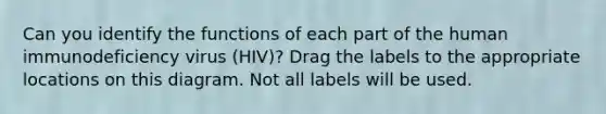 Can you identify the functions of each part of the human immunodeficiency virus (HIV)? Drag the labels to the appropriate locations on this diagram. Not all labels will be used.