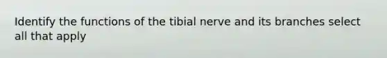 Identify the functions of the tibial nerve and its branches select all that apply