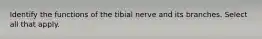 Identify the functions of the tibial nerve and its branches. Select all that apply.