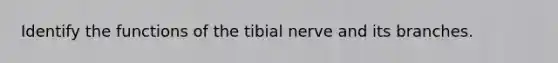 Identify the functions of the tibial nerve and its branches.