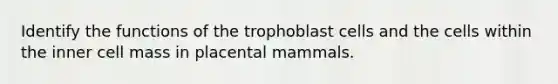 Identify the functions of the trophoblast cells and the cells within the inner cell mass in placental mammals.