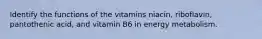 Identify the functions of the vitamins niacin, riboflavin, pantothenic acid, and vitamin B6 in energy metabolism.