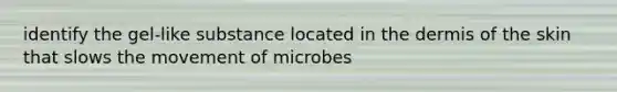 identify the gel-like substance located in the dermis of the skin that slows the movement of microbes