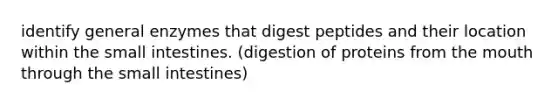 identify general enzymes that digest peptides and their location within the small intestines. (digestion of proteins from the mouth through the small intestines)