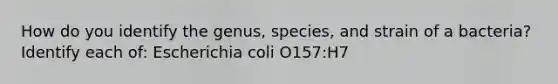 How do you identify the genus, species, and strain of a bacteria? Identify each of: Escherichia coli O157:H7