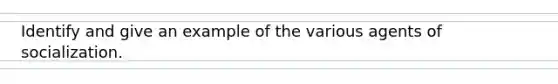 Identify and give an example of the various agents of socialization.