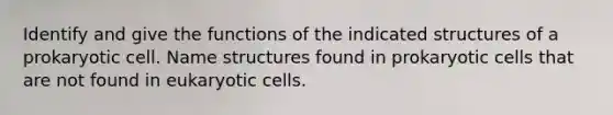 Identify and give the functions of the indicated structures of a prokaryotic cell. Name structures found in <a href='https://www.questionai.com/knowledge/k1BuXhIsgo-prokaryotic-cells' class='anchor-knowledge'>prokaryotic cells</a> that are not found in <a href='https://www.questionai.com/knowledge/kb526cpm6R-eukaryotic-cells' class='anchor-knowledge'>eukaryotic cells</a>.