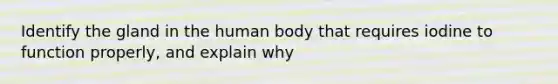 Identify the gland in the human body that requires iodine to function properly, and explain why