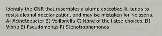 Identify the GNR that resembles a plump coccobacilli, tends to resist alcohol decolorization, and may be mistaken for Neisseria. A) Acinetobacter B) Veillonella C) None of the listed choices. D) Vibrio E) Pseudomonas F) Stenotrophomonas