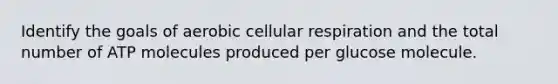 Identify the goals of aerobic cellular respiration and the total number of ATP molecules produced per glucose molecule.