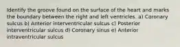 Identify the groove found on the surface of the heart and marks the boundary between the right and left ventricles. a) Coronary sulcus b) Anterior interventricular sulcus c) Posterior interventricular sulcus d) Coronary sinus e) Anterior intraventricular sulcus