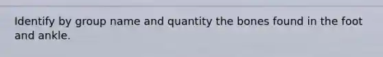 Identify by group name and quantity the bones found in the foot and ankle.