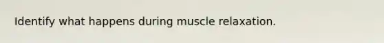 Identify what happens during muscle relaxation.