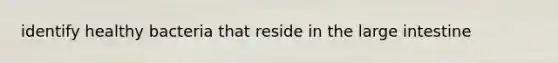 identify healthy bacteria that reside in the large intestine