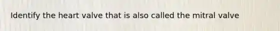 Identify the heart valve that is also called the mitral valve