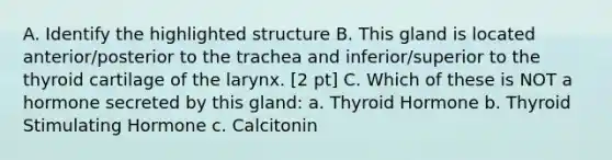 A. Identify the highlighted structure B. This gland is located anterior/posterior to the trachea and inferior/superior to the thyroid cartilage of the larynx. [2 pt] C. Which of these is NOT a hormone secreted by this gland: a. Thyroid Hormone b. Thyroid Stimulating Hormone c. Calcitonin