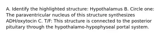 A. Identify the highlighted structure: Hypothalamus B. Circle one: The paraventricular nucleus of this structure synthesizes ADH/oxytocin C. T/F: This structure is connected to the posterior pituitary through the hypothalamo-hypophyseal portal system.