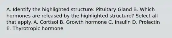 A. Identify the highlighted structure: Pituitary Gland B. Which hormones are released by the highlighted structure? Select all that apply. A. Cortisol B. Growth hormone C. Insulin D. Prolactin E. Thyrotropic hormone