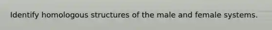 Identify homologous structures of the male and female systems.