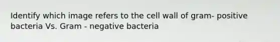 Identify which image refers to the cell wall of gram- positive bacteria Vs. Gram - negative bacteria